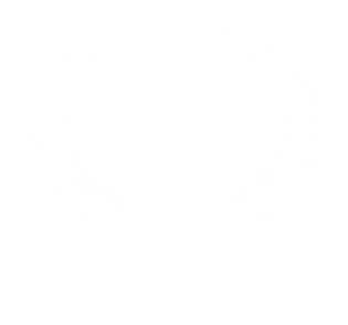 British GT4 Champion