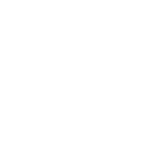 Ginetta Junior Champion